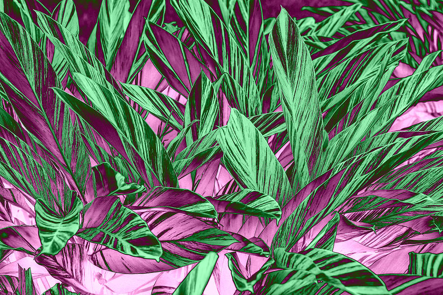 Leaves  Violet and Green Digital Art by Linda Phelps
