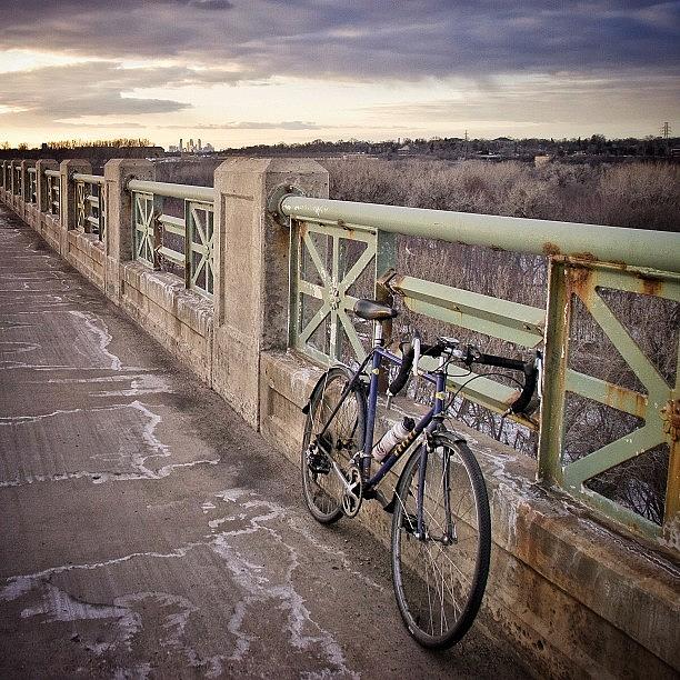 Tree Photograph - #leaving #minneapolis. #fromwhereibike by Mike S