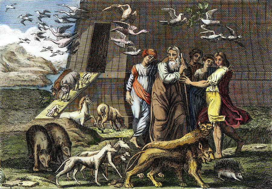 Leaving Noahs Ark Painting by Granger