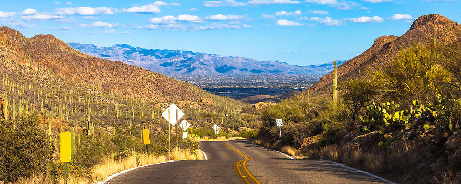 Road Leaving Tucson Mountain Park Photograph by Ed Gleichman