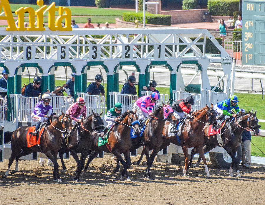 Leaving The Starting Gate Photograph By Pamela Schreckengost