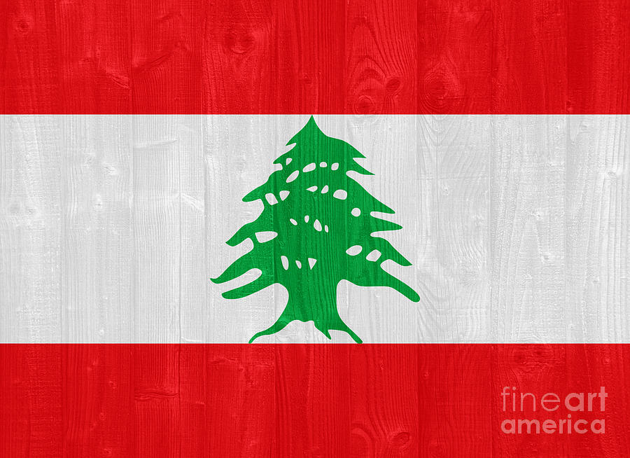 Sports Photograph - Lebanon flag by Luis Alvarenga