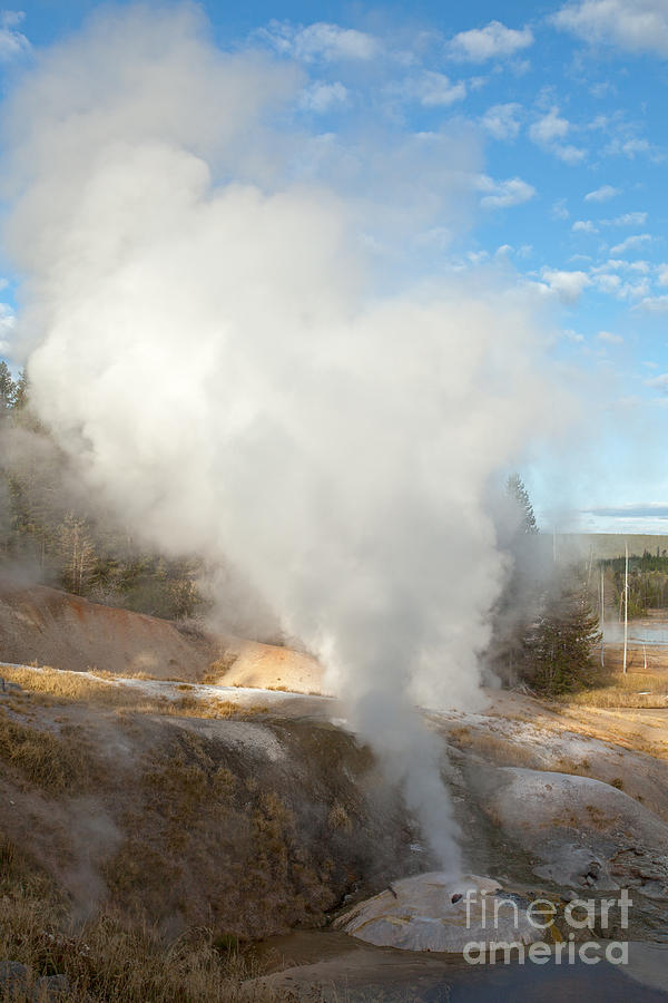 Ledge Geyser in Norris Geyser Basin Photograph by Fred Stearns