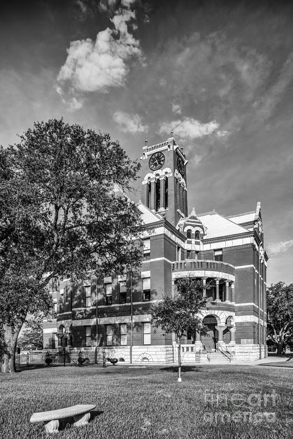 Lee County Courthouse in Giddings Texas Photograph by Silvio Ligutti