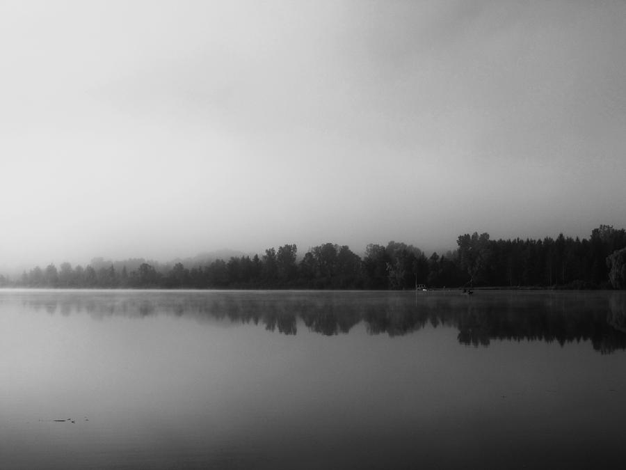 Lee Lake Tree Line in Black and White Photograph by Amanda Nelson ...