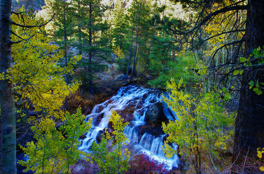 Lee Vining Creek Falls Photograph by Scott McGuire