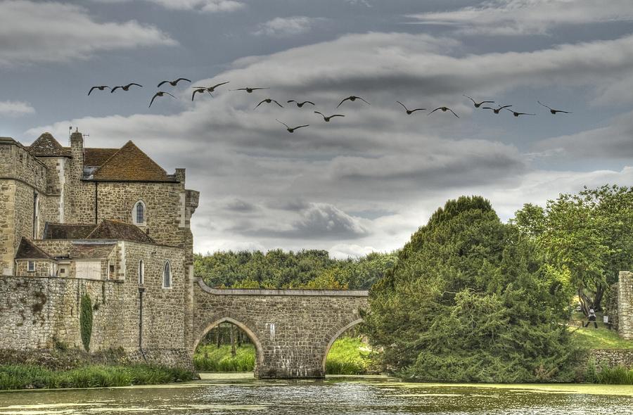 Geese Photograph - Leeds Castle Kent and mote by David French