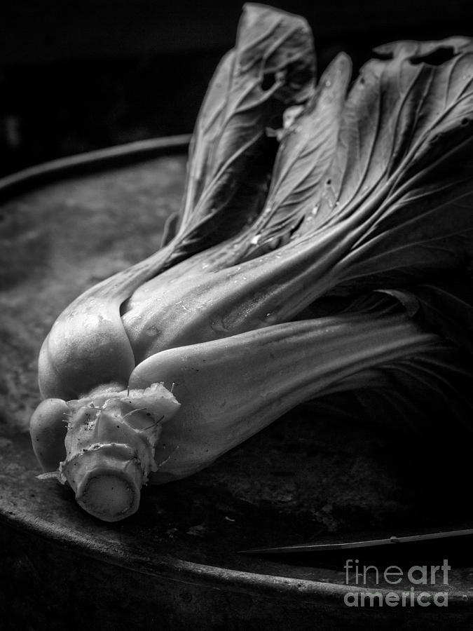 Vegetable Photograph - Leeks by Edward Fielding