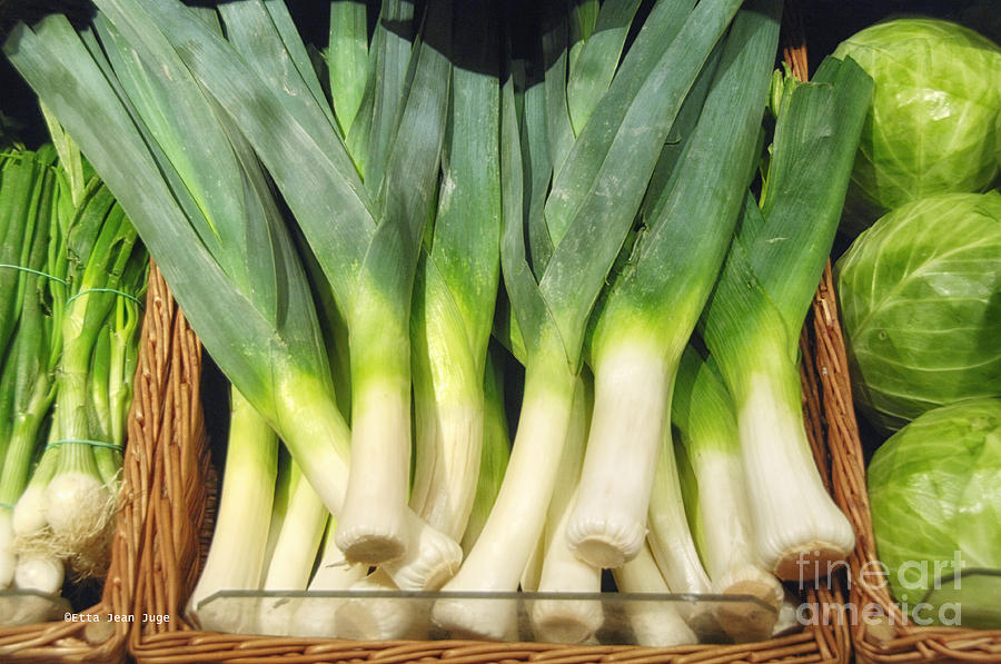Leeks with Vegetable Buddies Photograph by Etta Jean Juge