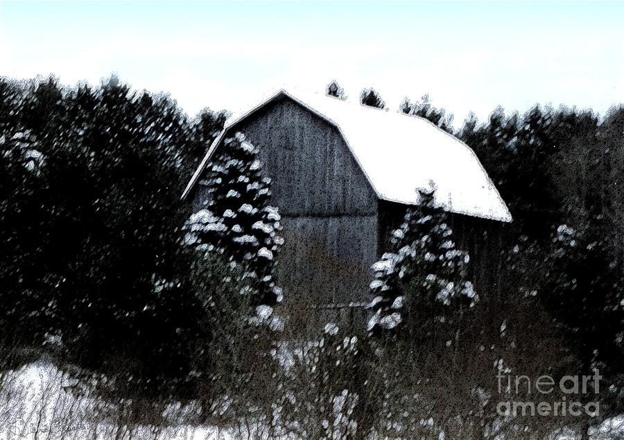 Leelanau Barn in Winter Photograph by Desiree Paquette