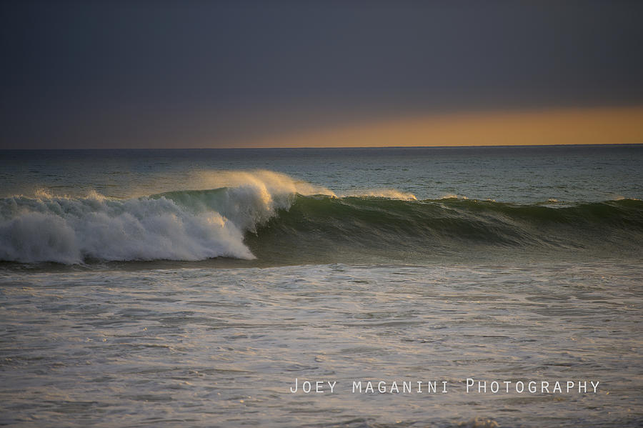 Summer Photograph - Left by Joey  Maganini