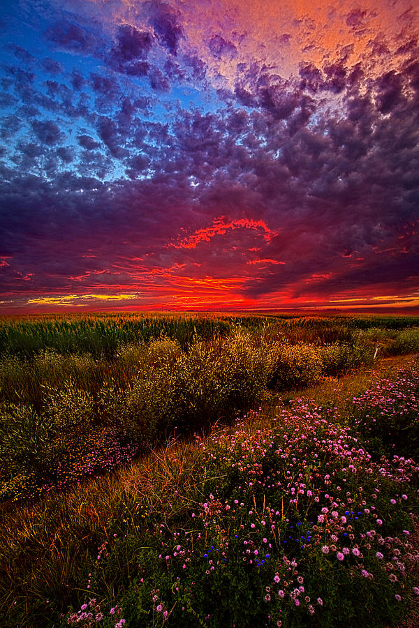 Left With The Memories Photograph by Phil Koch