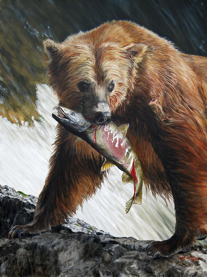 Salmon Painting - Legend of the Falls by Dreyer Wildlife Print Collections 