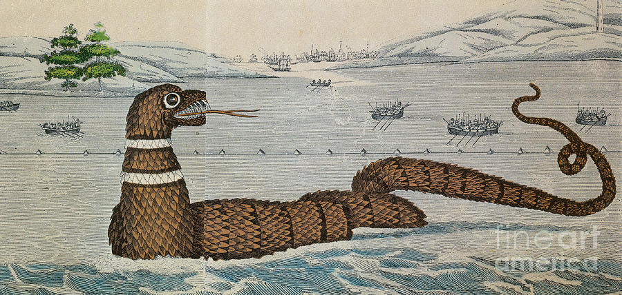 Animal Photograph - Legendary Gloucester Sea Serpent, 1817 by Photo Researchers