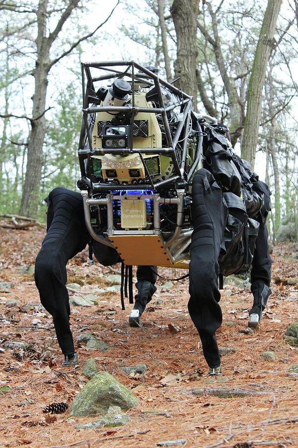 Legged Squad Support System Robot Photograph by Darpa/science Photo Library