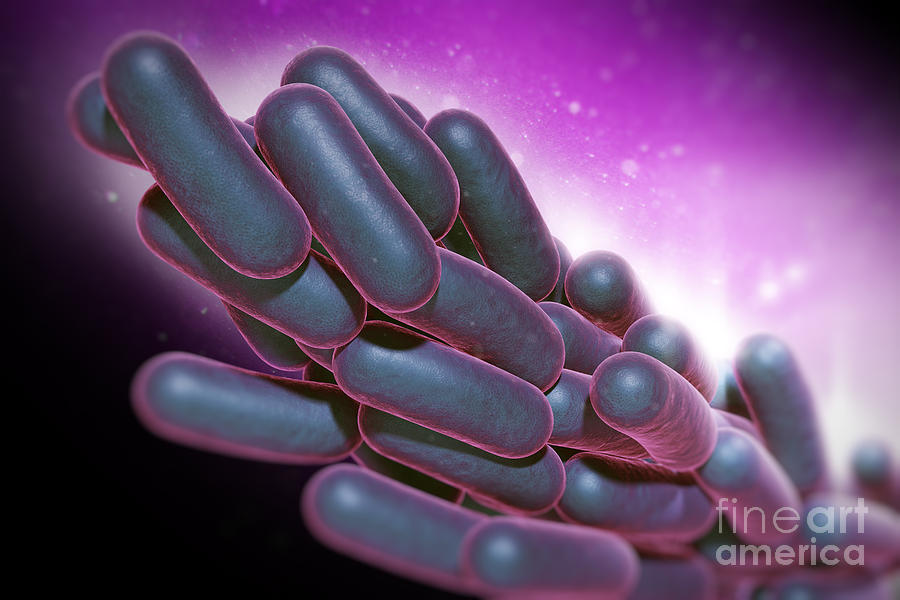 Legionella Pneumophila Bacteria Photograph By Science Picture Co Fine Art America 7061