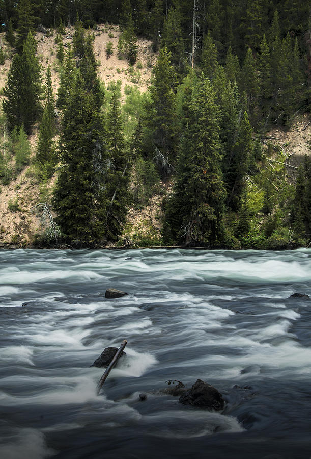 LeHardy Rapids on the Yellowstone River Photograph by Randall Nyhof