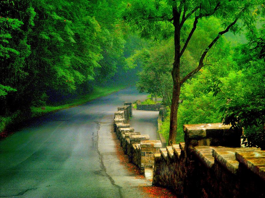 Parkway Photograph - Lehigh Parkway by Dave Hrusecky