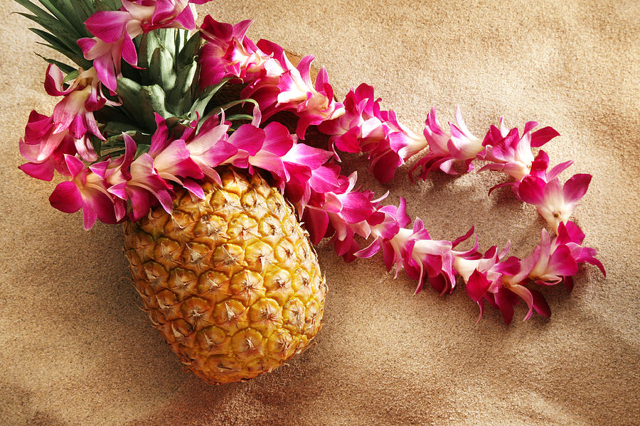 Lei On Pineapple At The Beach Photograph by Skodonnell