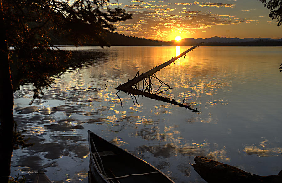 Leigh Lake Sunrise Photograph by Sam Sherman