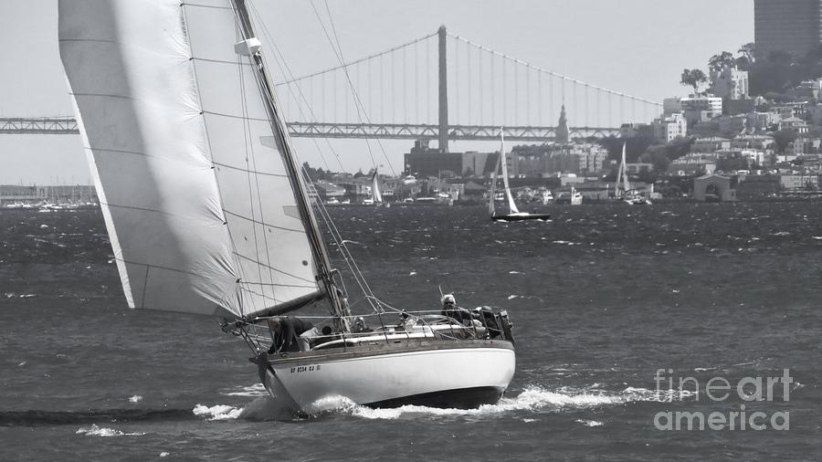 San Francisco Photograph - Leisure Sailor by Scott Cameron