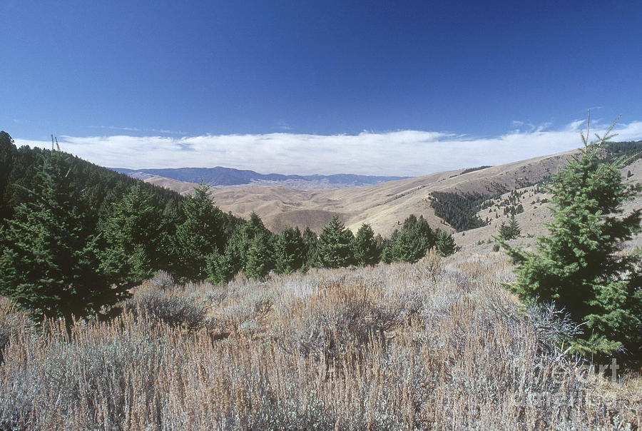Landscape Photograph - Lemhi Pass, Idaho by William H. Mullins