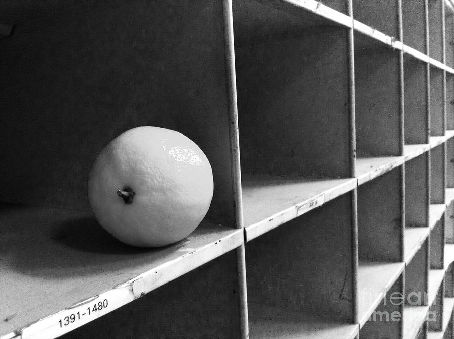 Lemon 1391-1480 Photograph by WaLdEmAr BoRrErO