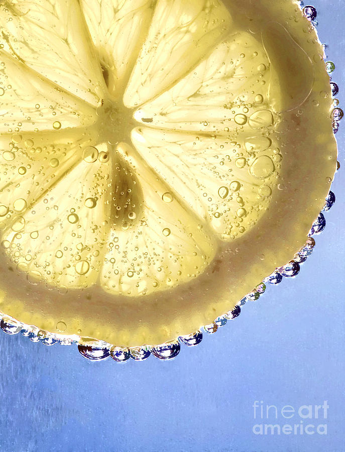 Lemon and Bubbles Photograph by Linda Blair