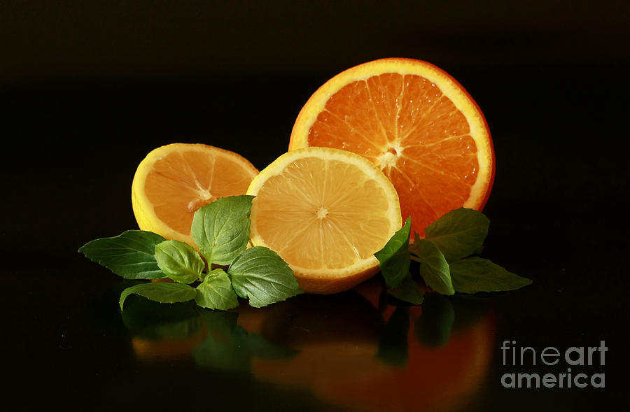 Lemon Photograph - Lemon and Orange Delight by Inspired Nature Photography Fine Art Photography
