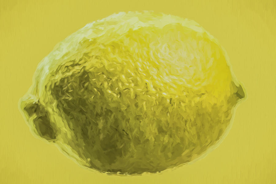 Lemon Food Painted Digitally Macro Photograph by David Haskett II