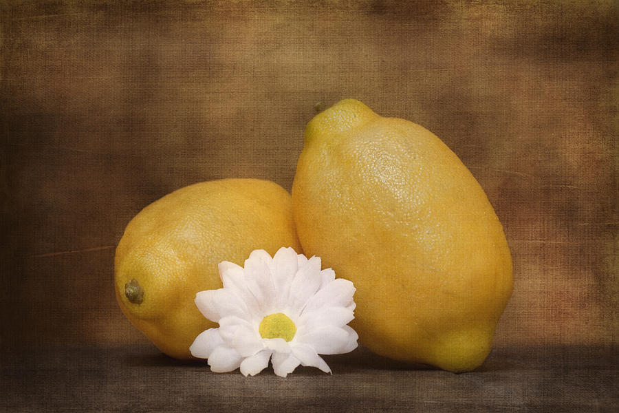 Daisy Photograph - Lemon Fresh Still Life by Tom Mc Nemar