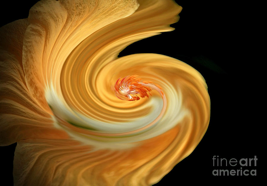 Abstract Photograph - Lemon hibiscus Swirl  by Inspired Nature Photography Fine Art Photography
