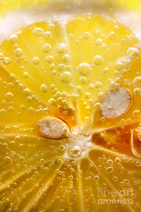 Lemon slice in fizzy water Photograph by Simon Bratt