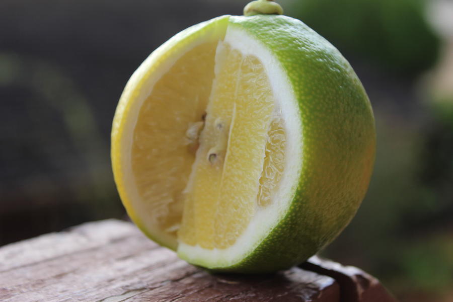Lemon Sliced Photograph by Michael Kim