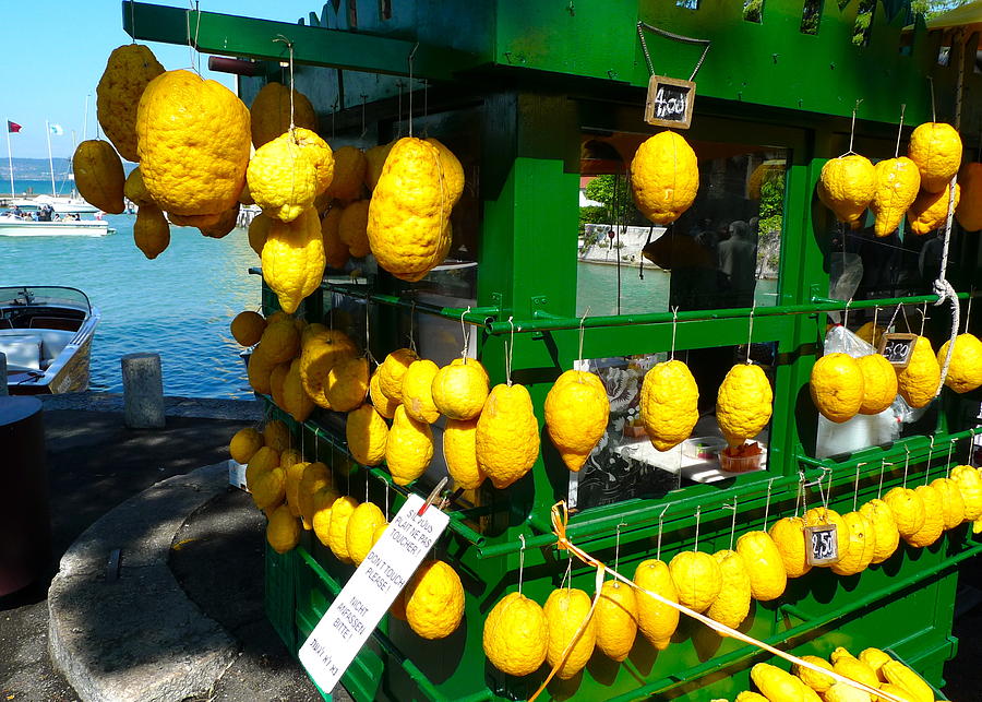 Lemon Hang Photograph