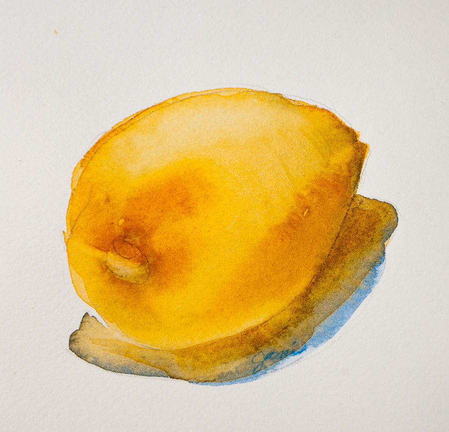 Lemon Study Painting by Jani Freimann