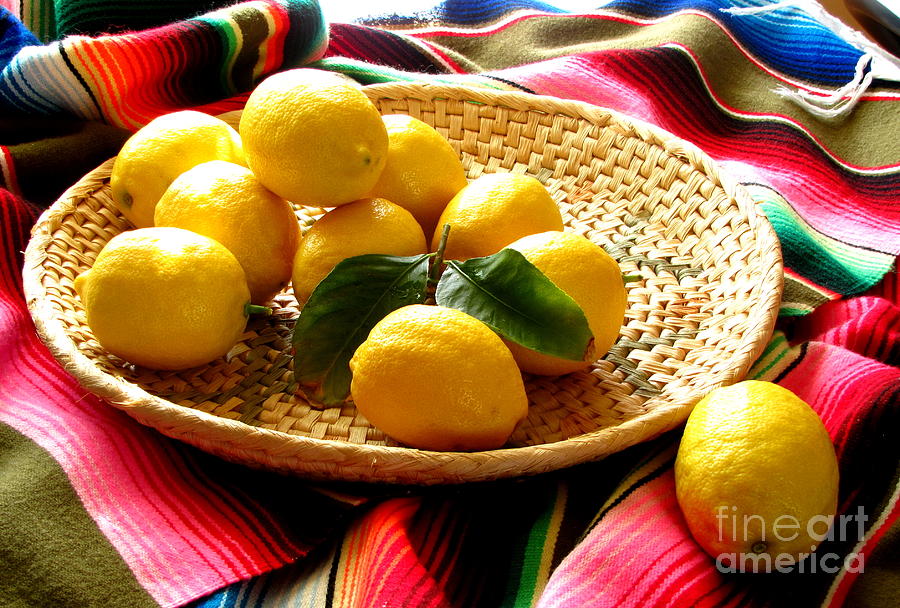 Lemon Photograph - Lemon Time Again by Marilyn Smith