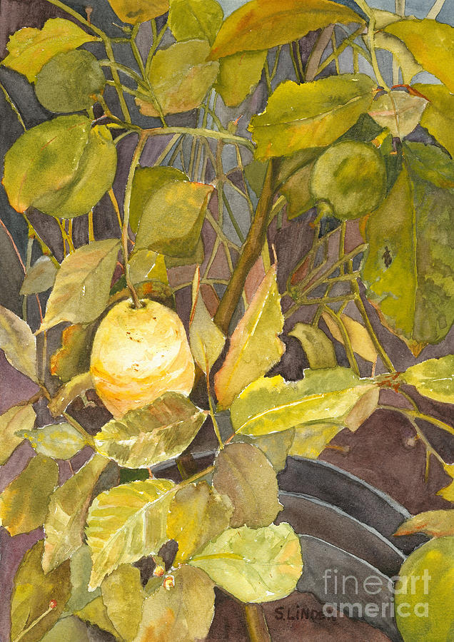 Lemon Tree Painting by Sandy Linden