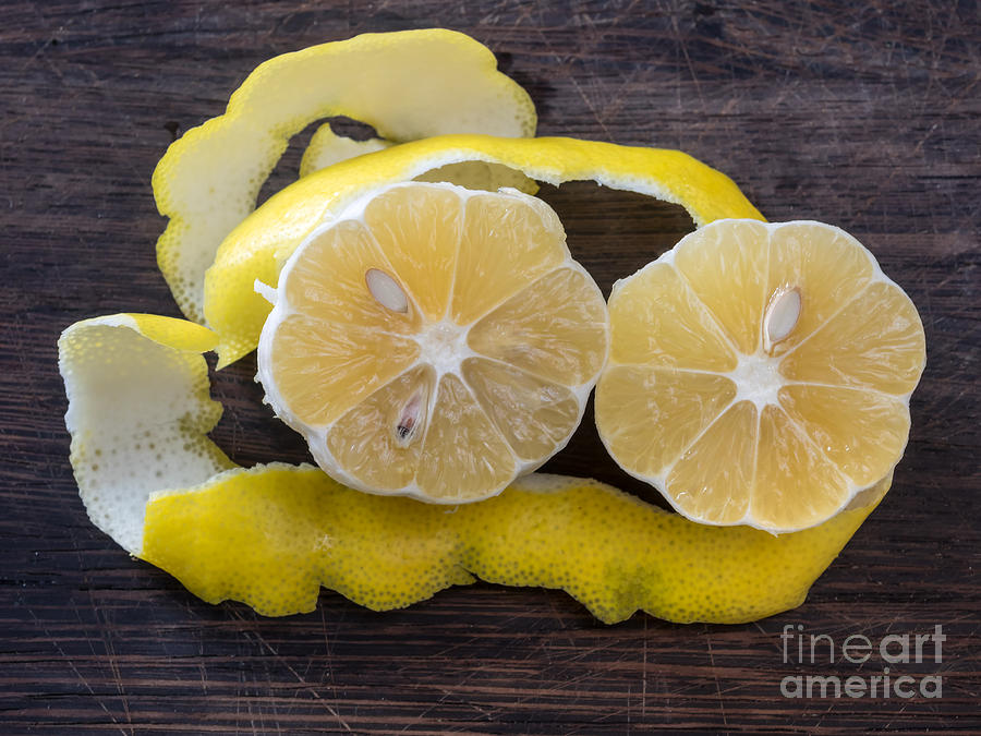 Fruit Photograph - Lemon zest by Frank Bach