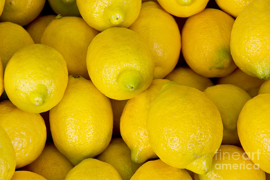 Lemons 1 Photograph by David Doucot