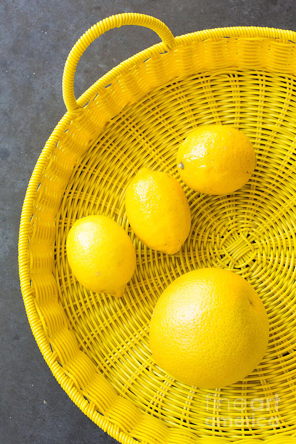 Lemons And Grapefruit Photograph by Veronique Burger