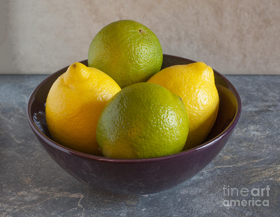 Lemons and Limes Photograph by Liz Leyden