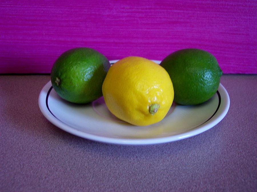 Lemons and Limes Photograph by Melvin Turner