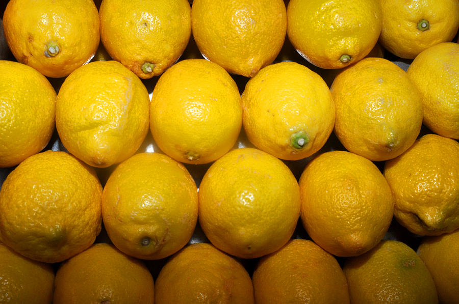 Lemons Photograph by Diane Lent