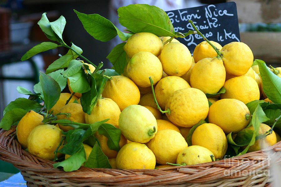 Lemons Photograph by Holly C. Freeman