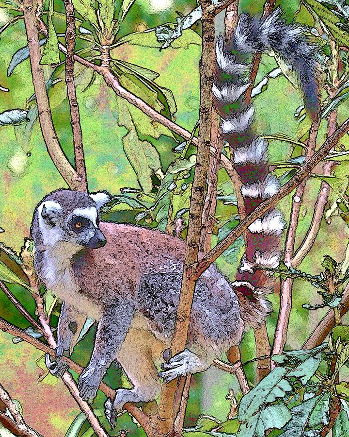 Lemur Photograph - Lemur Sketch by Dan Dooley Lemur Photograph - Lemur Sketch by Dan Dooley