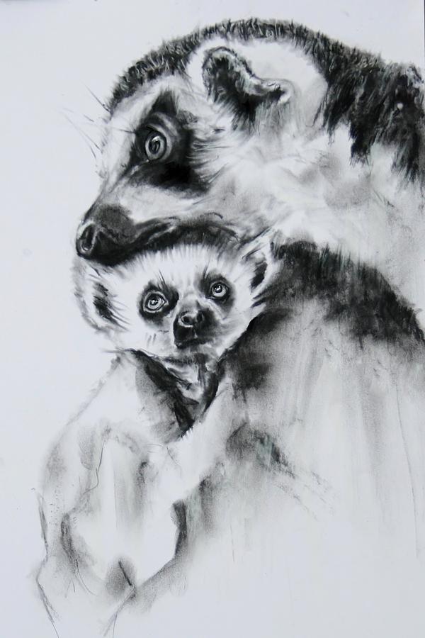 Lemurs  Drawing by Jean Cormier