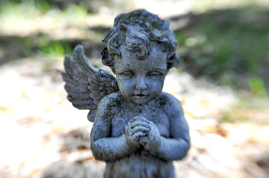 Lensbaby 2 Young Angel With One Wing Photograph