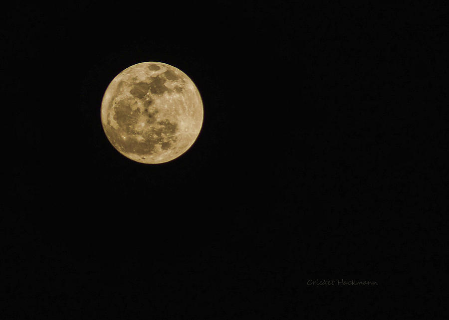 Lenten Moon Photograph by Cricket Hackmann