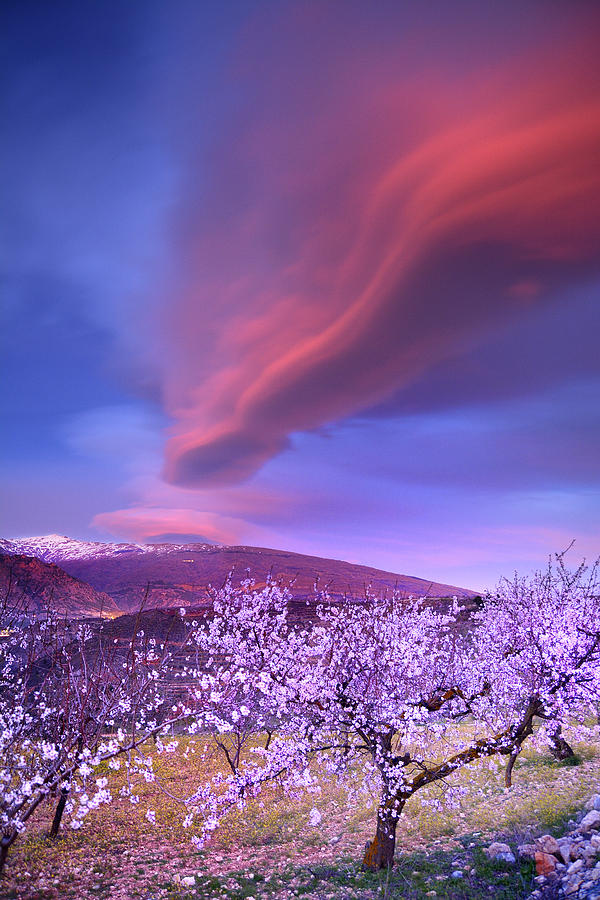 Lenticular Clouds Photograph by Guido Montanes Castillo